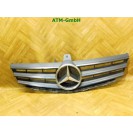 Frontgrill Kühlergrill Mercedes Benz A-Klasse W169 A1698881260