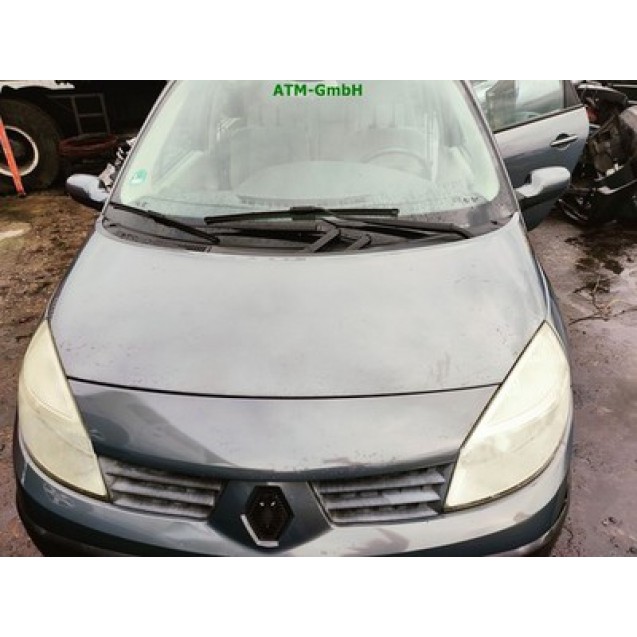 Motorhaube Renault Scenic 2 II Farbcode TE266 Farbe Grau Gris Acier Metallic