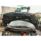 Motorhaube Renault Scenic 2 II Farbcode TE266 Farbe Grau Gris Acier Metallic