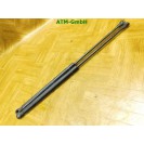 Heckklappendämpder Gasdruck x 2 Stück hinten Seat Ibiza 3 III 6L6827550B