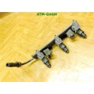 Einspritzleiste Einspritzdüse Smart 454