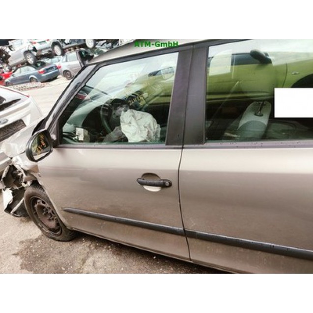 Tür vorne links Skoda Fabia 2 II Farbcode LF8H Cappuccino Beige Metallic