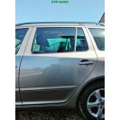Tür hinten links Skoda Octavia 2 II Farbcode LF8H Cappuccino Beige Metallic