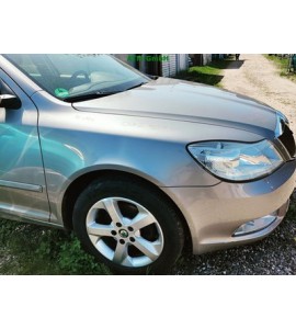 Kotflügel rechts Skoda Octavia 2 II Farbcode LF8H Cappuccino Beige Metallic