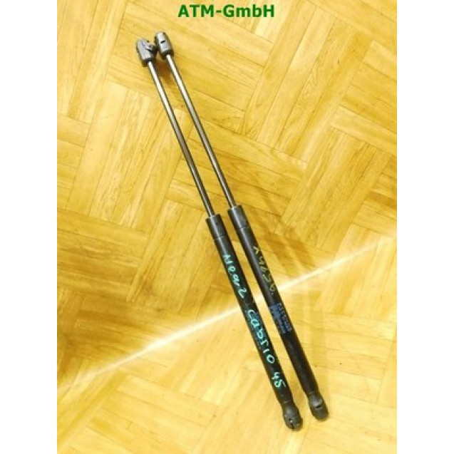 Heckklappendämpfer Gasdruck x 2 Stück hinten Renault Megane 2 Cabrio E84827465A