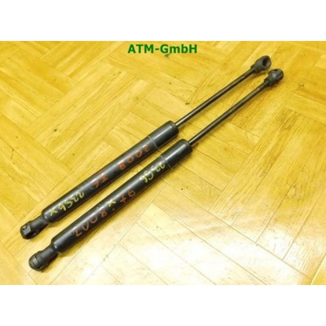 Heckklappendämpfer x 2 Stück hinten Gasdruck Gasfeder Peugeot 2008 9678317180