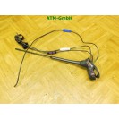 Fahrzeugantenne KFZ Antenne Seat Ibiza 4 IV 6P0035501C 6Q0035575A