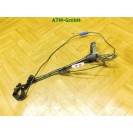 Fahrzeugantenne KFZ Antenne Seat Ibiza 4 IV 6P0035501C 6Q0035575A