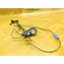 Fahrzeugantenne KFZ Antenne Seat Ibiza 4 IV 6P0035501C 6Q0035575A