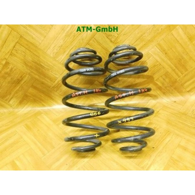 Feder Federn x 2 Stück hinten Opel Astra H 79908-041802
