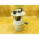 Kraftstoffpumpe Benzinpumpe Peugeot 206+