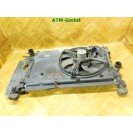Wasserkühler Elektrolüfter Lüfter Fiat Grande Punto 3 III 199 Behr 55700995