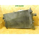 Wasserkühler Kühlerlüfter Elektrolüfter Lüfter Opel Astra H 13205947 12v
