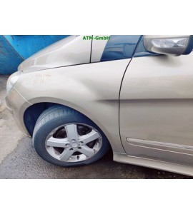 Kotflügel links Mercedes Benz B-Klasse W245 Farbcode 791 Dünenbeige Metallic