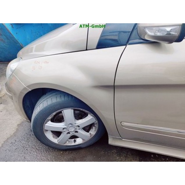 Kotflügel links Mercedes Benz B-Klasse W245 Farbcode 791 Dünenbeige Metallic