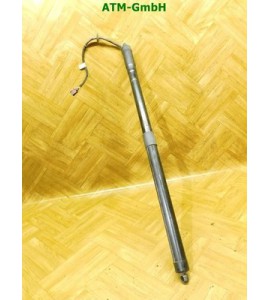 Heckklappendämpfer Gasdruck Gasdämpfer Ford C-Max AM51R404C84AF