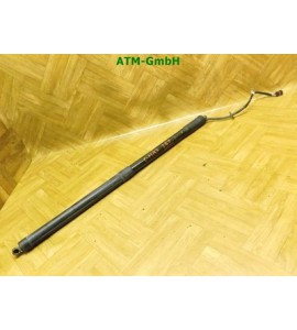 Heckklappendämpfer Gasdruck Gasdämpfer Ford C-Max AM51R404C84AF