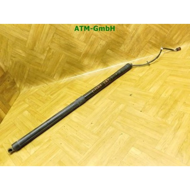 Heckklappendämpfer Gasdruck Gasdämpfer Ford C-Max AM51R404C84AF